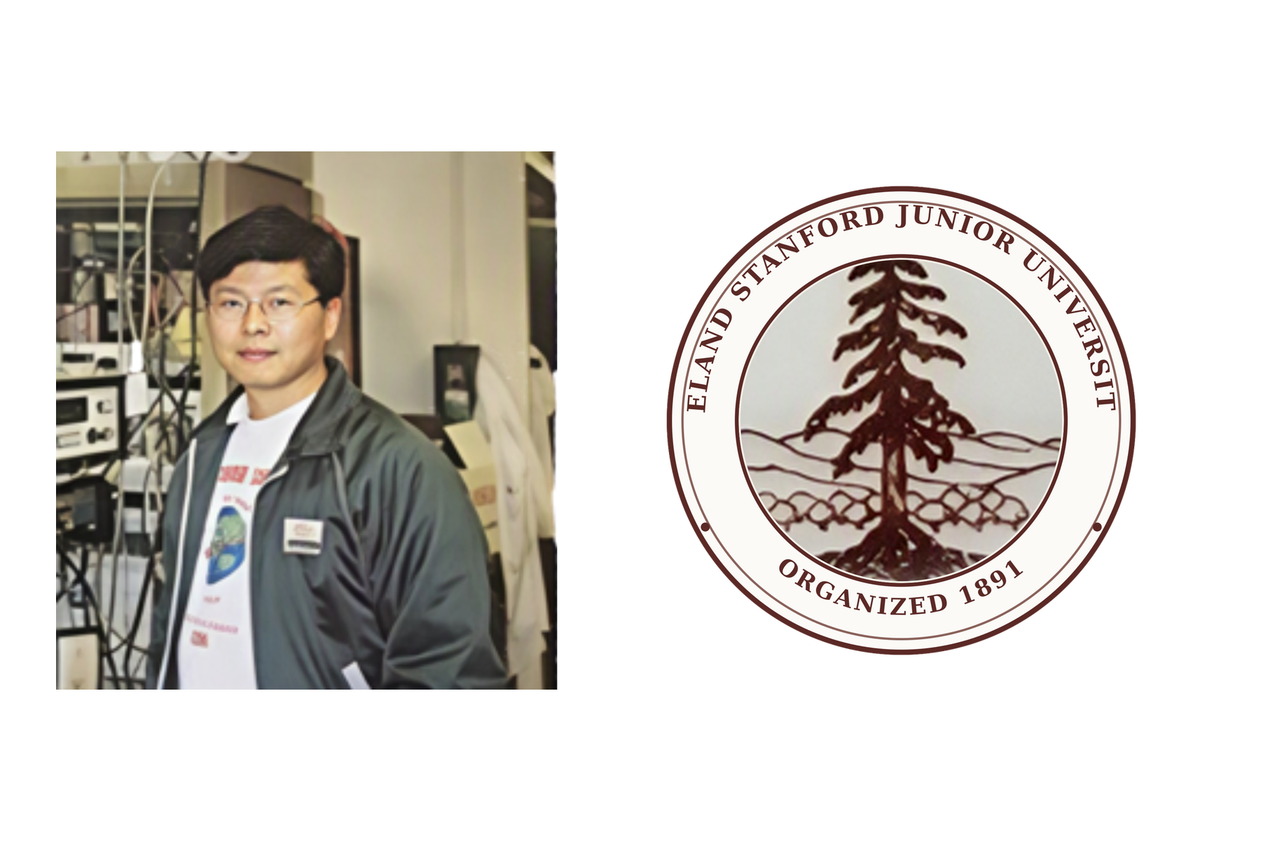 Early single-crystal research foundation and Stanford reference