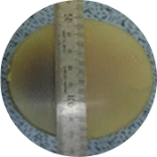 1G (PMN-PT)